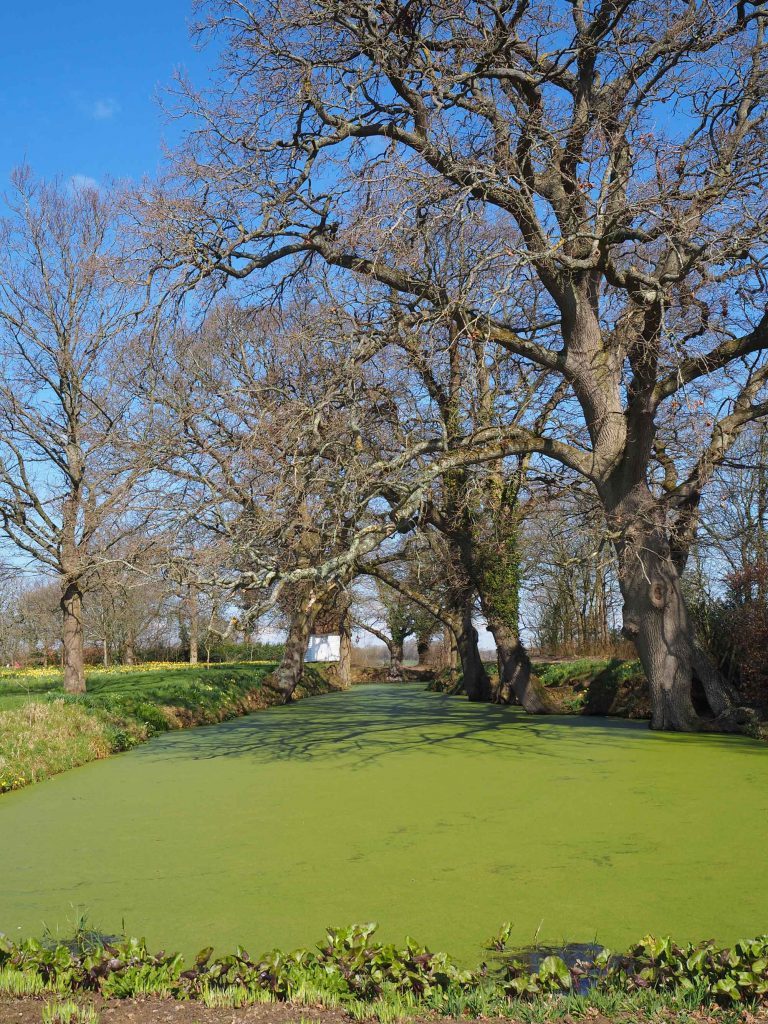 Im Portrait Zu Gast Im Beruhmten Garten Sissinghurst Kent Tea