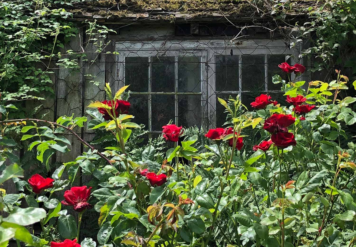 Zu Gast in Sissinghurst Castle and Gardens in Cranbrook