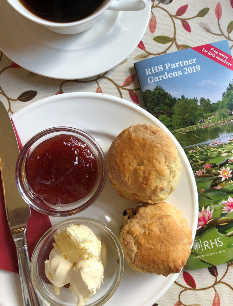 Das Wolltest Du Schon Immer über Den Cream Tea Wissen