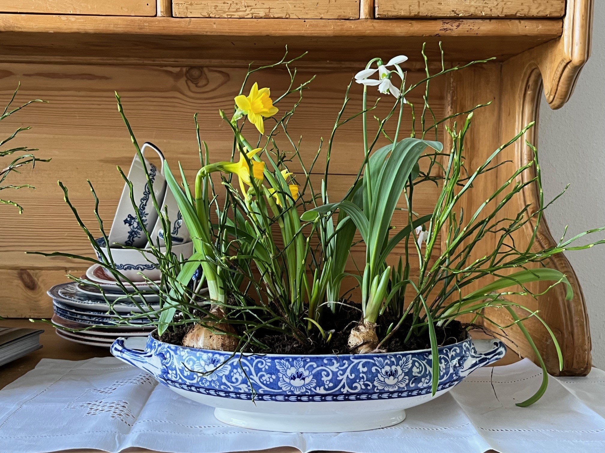 Vintage-Geschirr bepflanzen: Frühling im Cottage-Stil